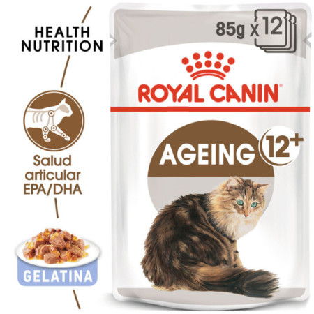 Royal Canin Wet Ageing +12 Geleia