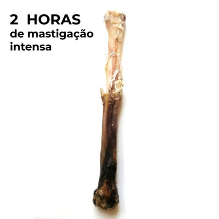 Loja do Cão Pata de gamo