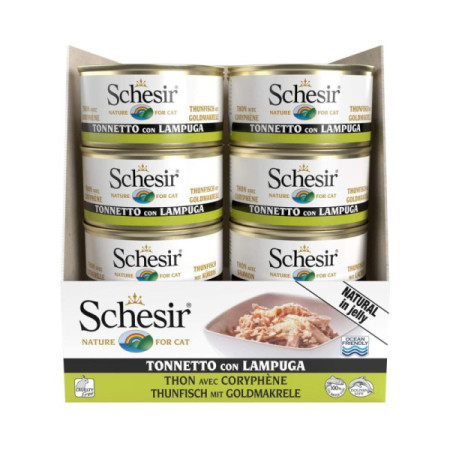Schesir Complementary Gato Atúm com dourado em geleia
