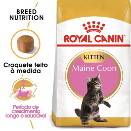 Royal Canin Seca Maine Coon Kitten