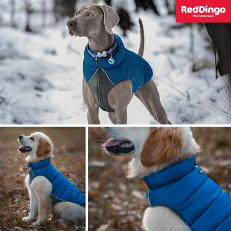 Red Dingo Neo-Fit Puffer Casaco reversível azul
