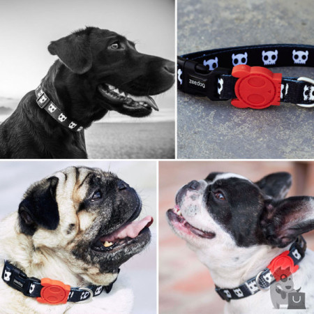 Zee.Dog Coleira Skull