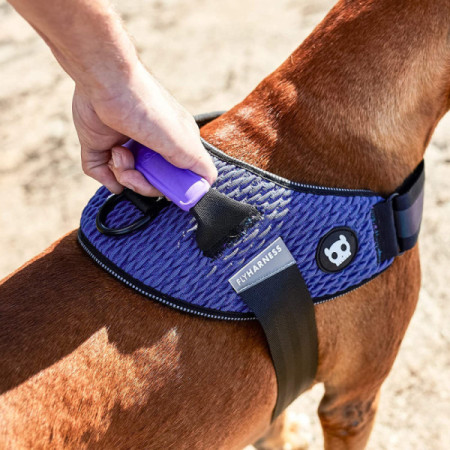 Zee.Dog Peitoral Flyharness Wicked