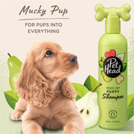 Pet Head Mucky Puppy Champô cachorros