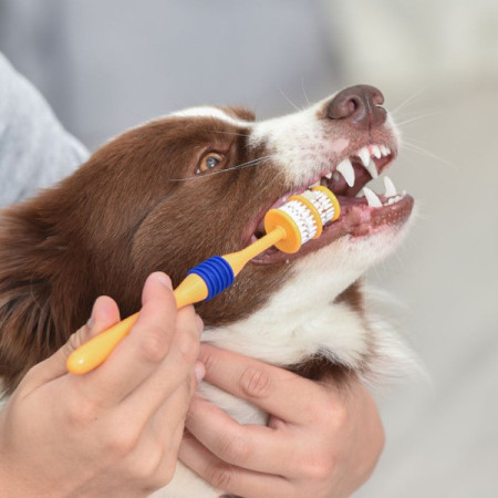 Arm & Hammer Escova de dentes 360 Puppy