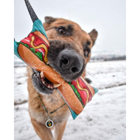 Waudog Fun Churro Hot Dog