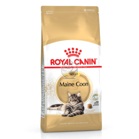 Royal Canin Seca Maine Coon Adulto
