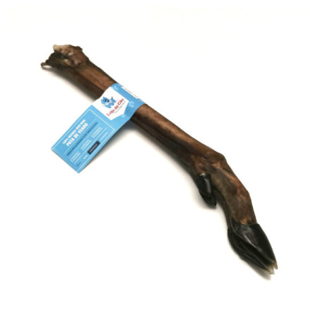 Loja do Cão Pata de gamo