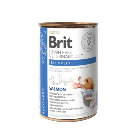 Brit Grain-Free Vet Diet Wet Dog & Cat Recovery