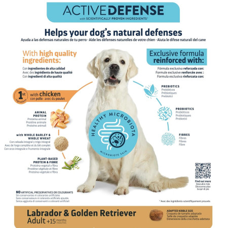 Advance Labrador & Golden Retriever Adulto