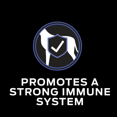 Purina Proplan Fortiflora probiótico - Saiba tudo aqui