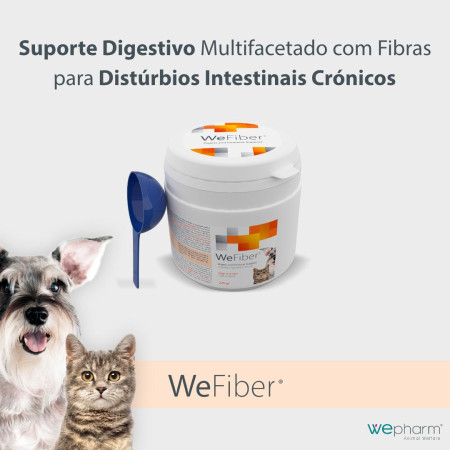 WeFiber