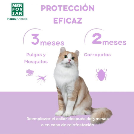 Men For San Coleira Anti-insectos para gato