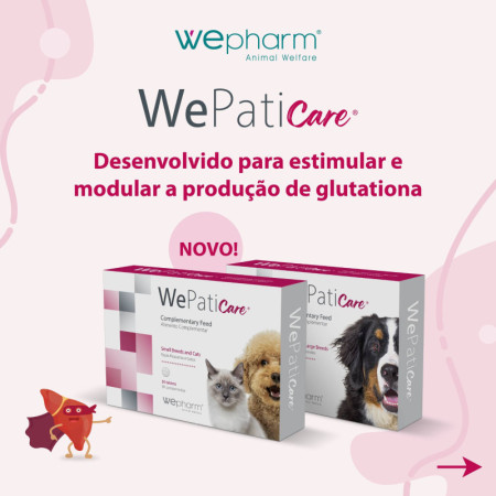 WePatic Care Comprimidos cães pequenos e gatos