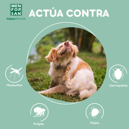 Men For San Champô Repelente de insectos para cão