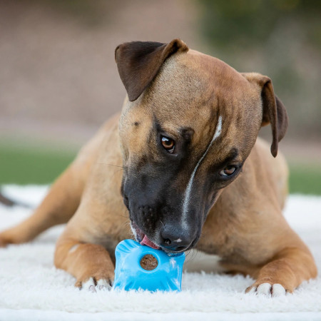 Jolly Pets Flex-n-Chew Squarble