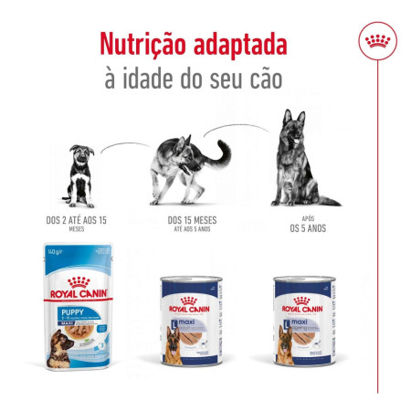 Royal Canin Wet Maxi Adult em paté