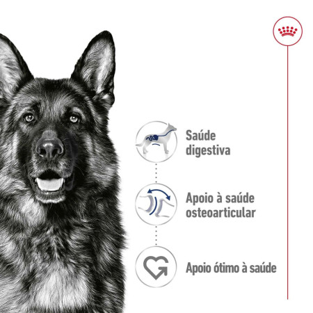 Royal Canin Wet Maxi Adult em paté