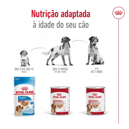 Royal Canin Wet Medium Adult em paté