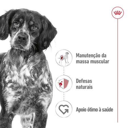 Royal Canin Wet Medium Adult em paté