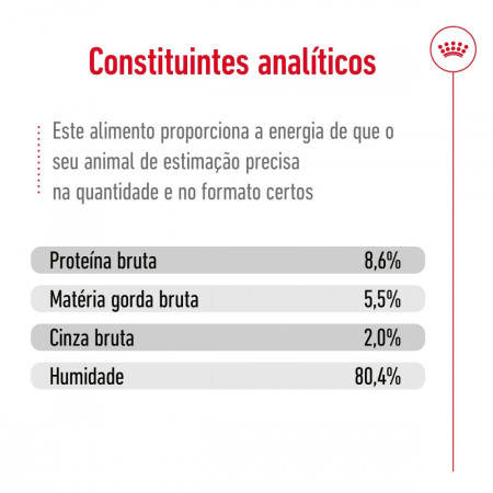 Royal Canin Wet Mini Adult em paté