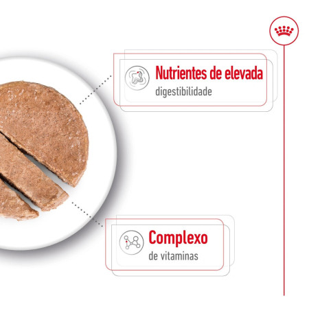 Royal Canin Wet Mini Adult em paté