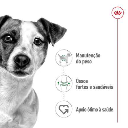 Royal Canin Wet Mini Adult em paté