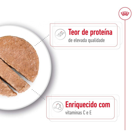 Royal Canin Wet Medium Adult Ageing em paté