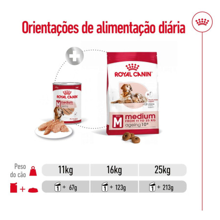 Royal Canin Wet Medium Adult Ageing em paté