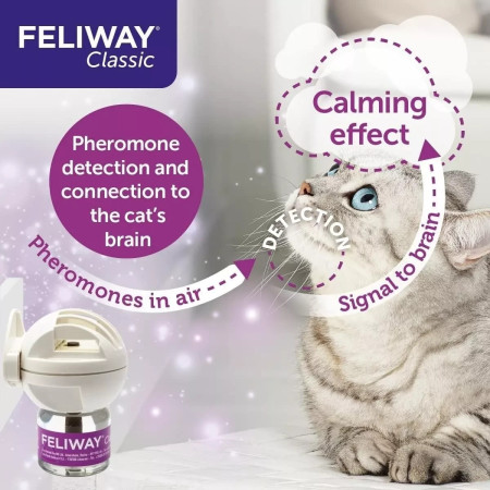 Feliway Classic Recarga para difusor