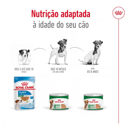 Royal Canin Wet Mini Ageing em paté