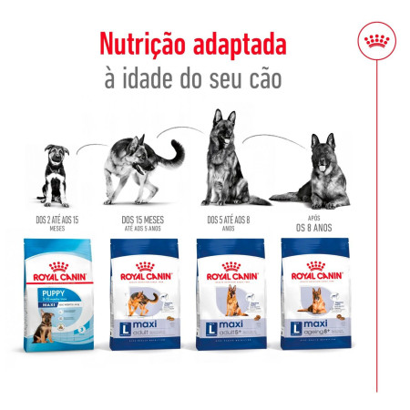 Royal Canin Seca Maxi Adulto 5+