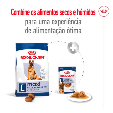 Royal Canin Seca Maxi Adulto 5+