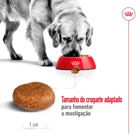 Royal Canin Seca Maxi Adulto 5+