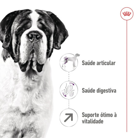 Royal Canin Seca Giant Adulto