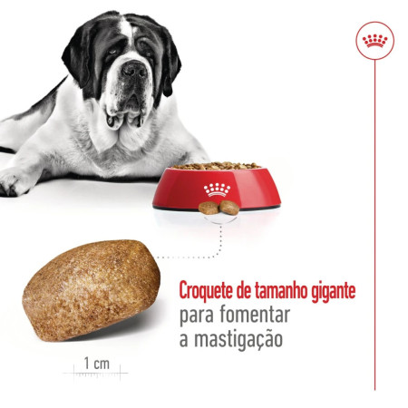 Royal Canin Seca Giant Adulto