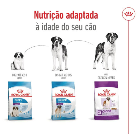 Royal Canin Seca Giant Adulto