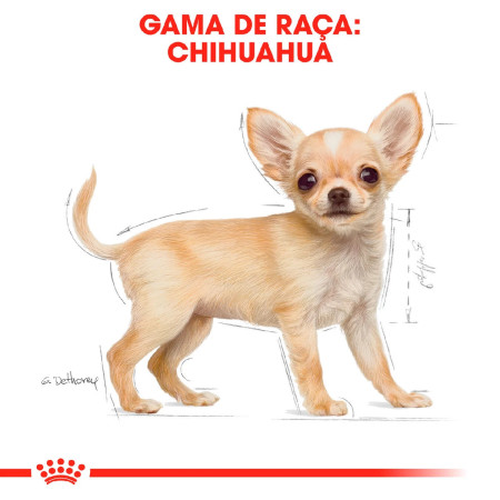 Royal Canin Seca Chihuahua Puppy