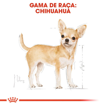 Royal Canin Seca Chihuahua Adulto