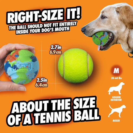 Chuckit Eco Fetch Ball