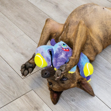 Kong Woozles Monster