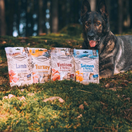 Carnilove Dog Freeze-dried Raw Snacks Turkey