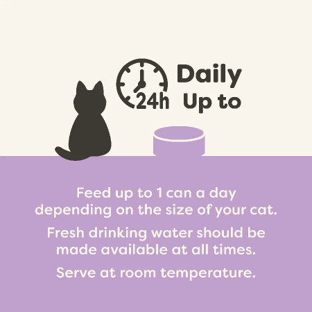 Applaws Natural Senior Cat Food Filetes de atum com salmão