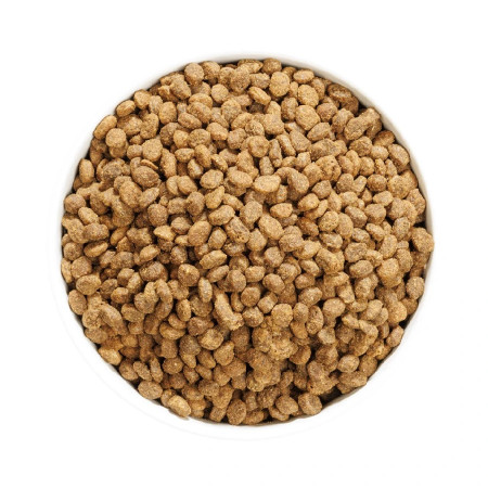 Ownat Author Cat Fresh Oily Fish & Poultry - 100% carne fresca!