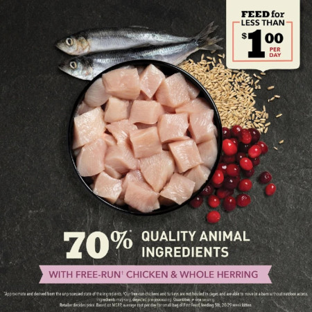 Acana First Feast Kitten