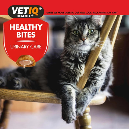 M&C VetIQ Healthy Bites Urinary Care