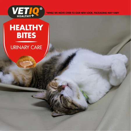 M&C VetIQ Healthy Bites Urinary Care