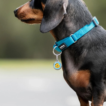 Red Dingo Medalha Cookie