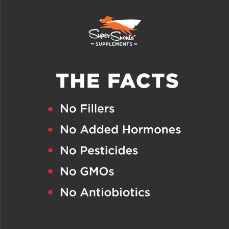 Super Snouts Urinary Berry