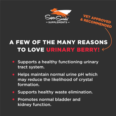 Super Snouts Urinary Berry